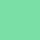 Mint Delight